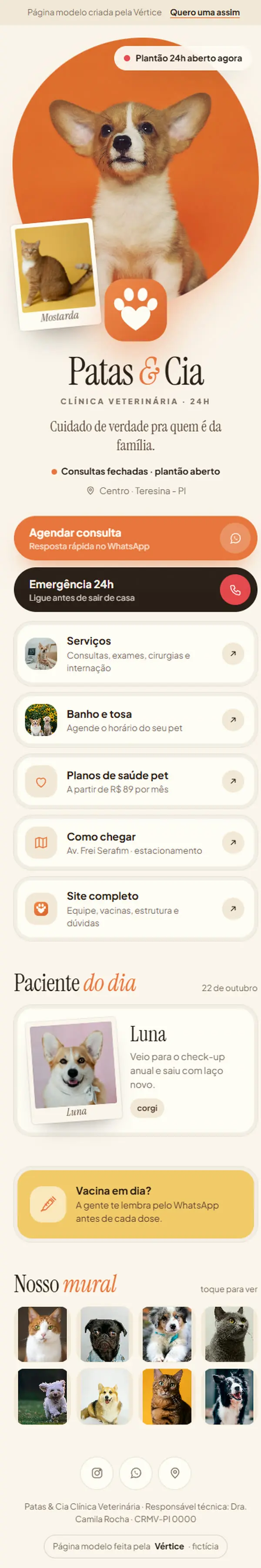 Página de links da Patas & Cia no celular